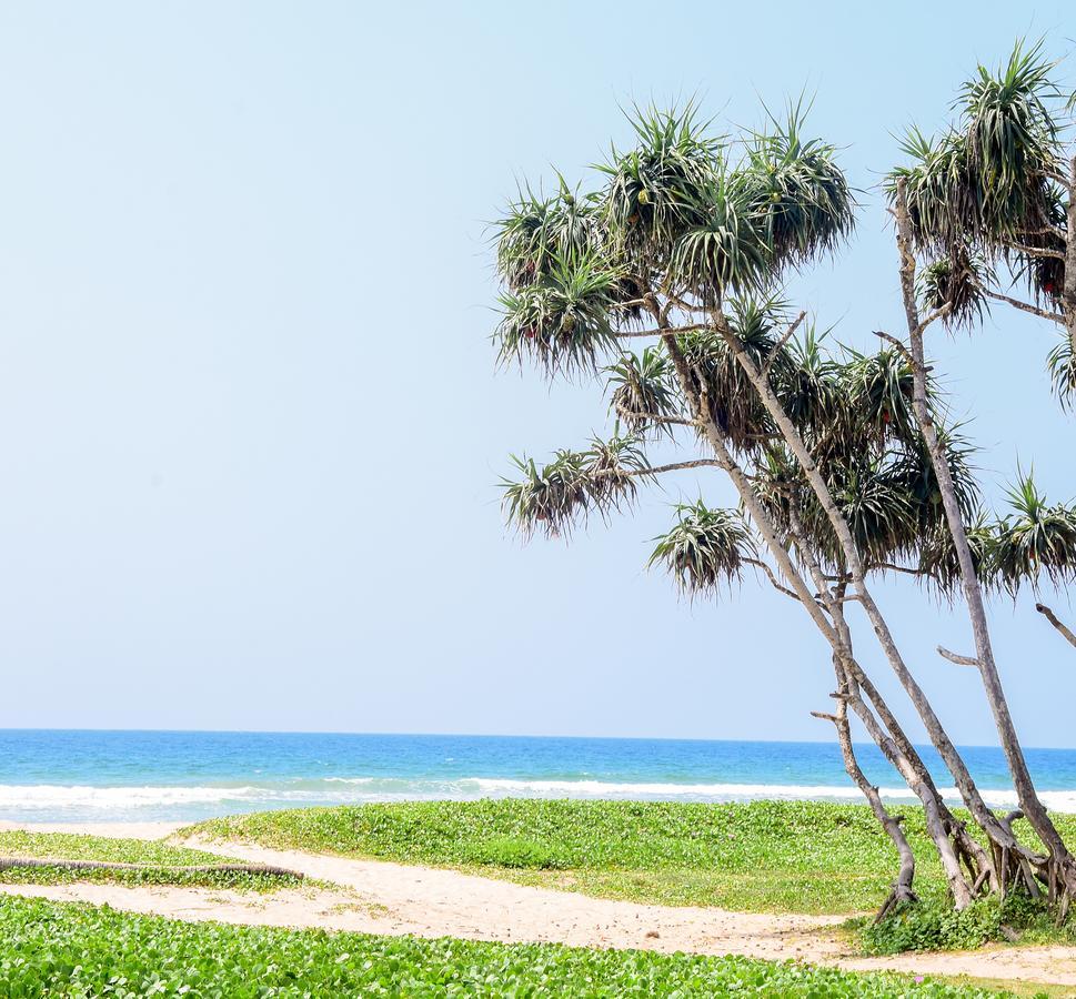 Channa Villa & Tours Bentota Exterior photo